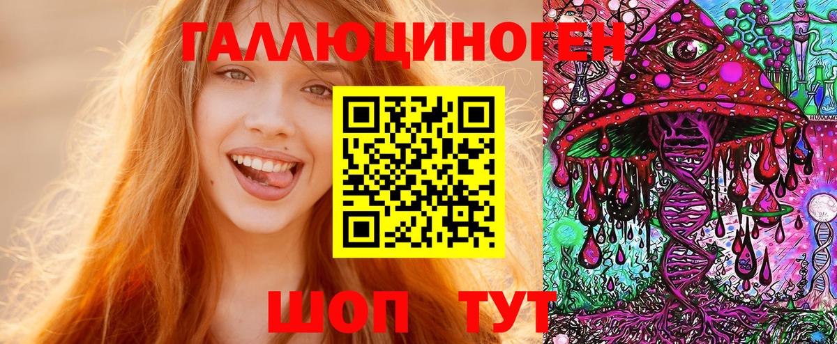 Советская Гавань  Галлюциногенные грибы Psilocybine cubensis  Вход с VPN 